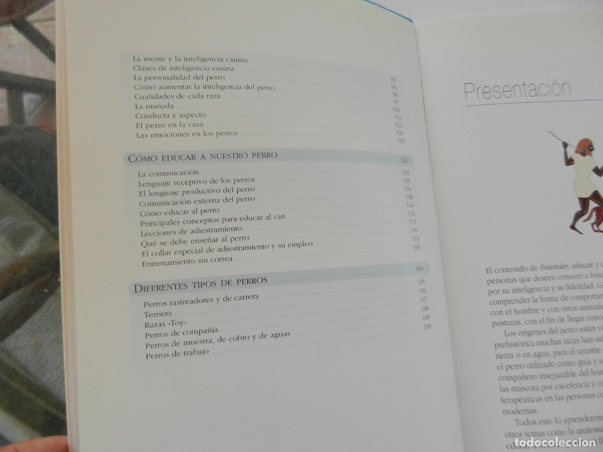 Libros: ENTENDER EDUCAR Y CUIDAR A TU PERRO - JAVIER VILLAHIZ&Aacute;N - EDITORIAL LIBSA 2006. - Foto 4