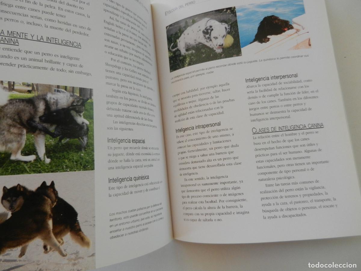 Libros: ENTENDER EDUCAR Y CUIDAR A TU PERRO - JAVIER VILLAHIZ&Aacute;N - EDITORIAL LIBSA 2006. - Foto 5
