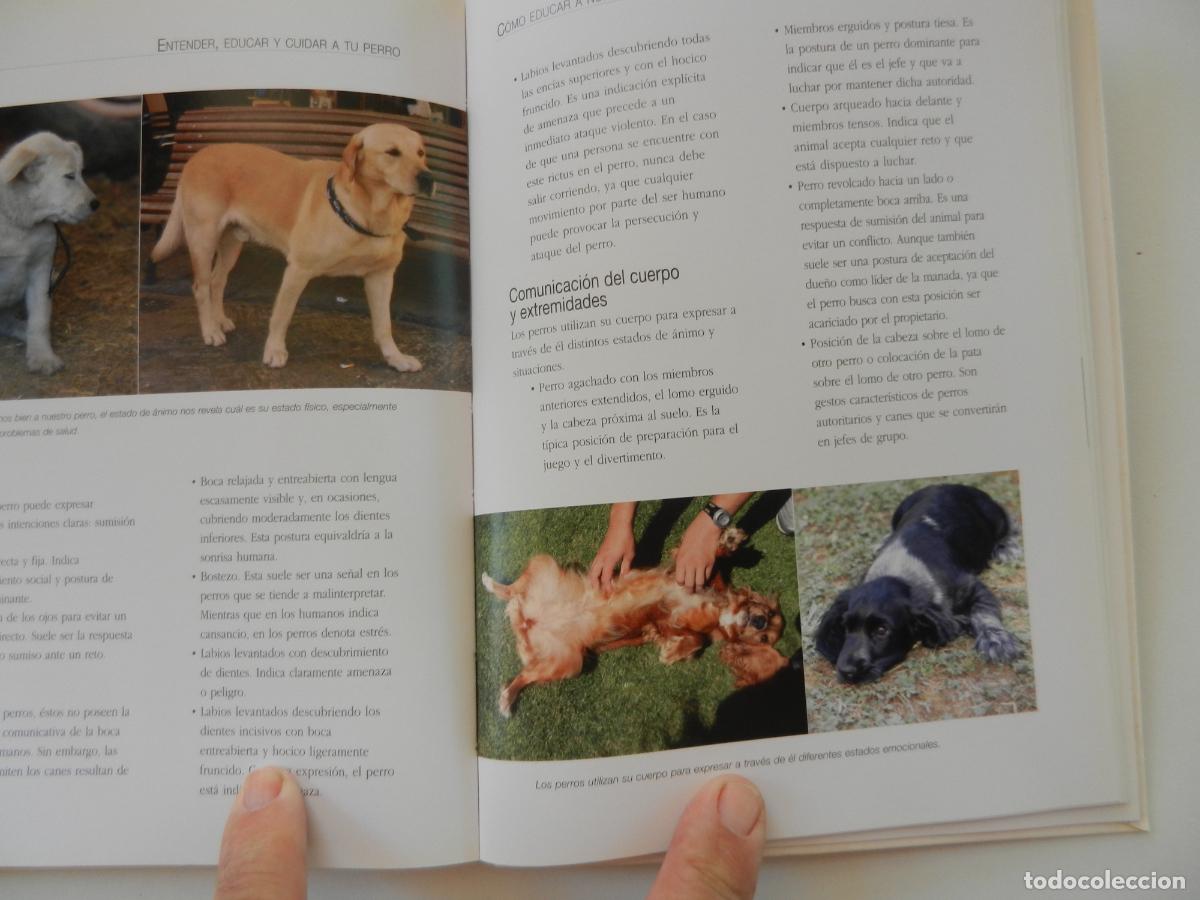 Libros: ENTENDER EDUCAR Y CUIDAR A TU PERRO - JAVIER VILLAHIZ&Aacute;N - EDITORIAL LIBSA 2006. - Foto 7