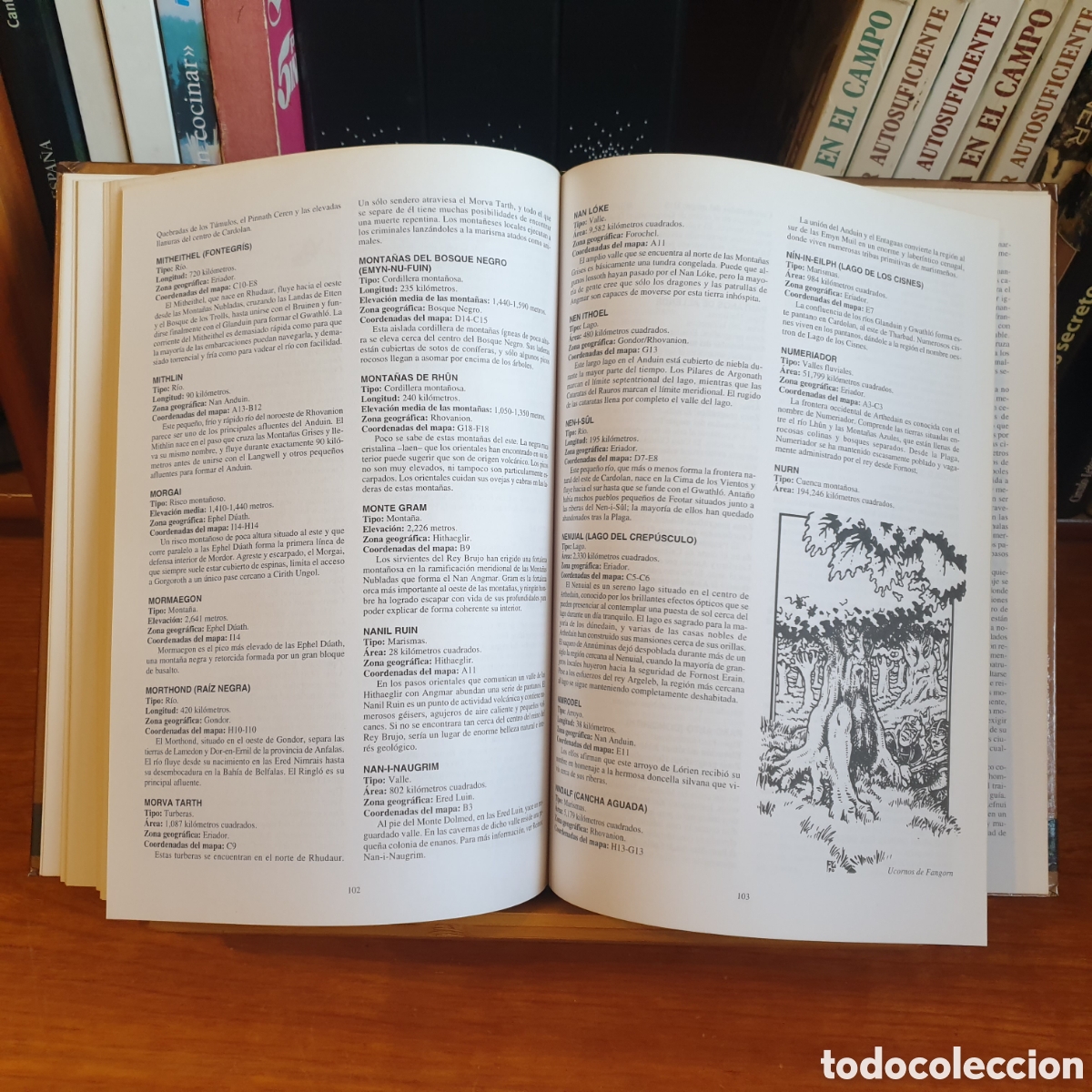 Libros: Atlas del Noroeste de la Tierra Media - Foto 10