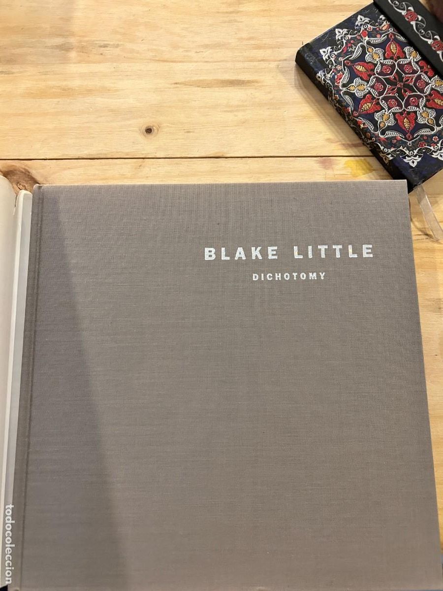 Libros: BLAKE LITTLE- DICHOTOMY- ENGLISH - Foto 5