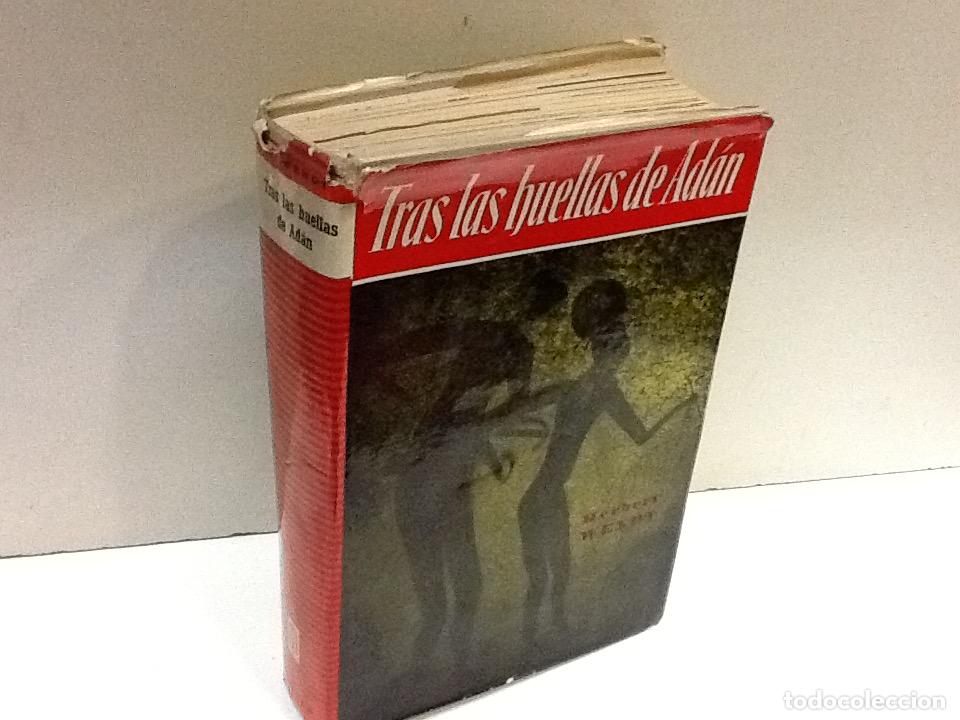 Libros: TRAS LAS HUELLAS DE ADAN HERBERT WENDT - Foto 1