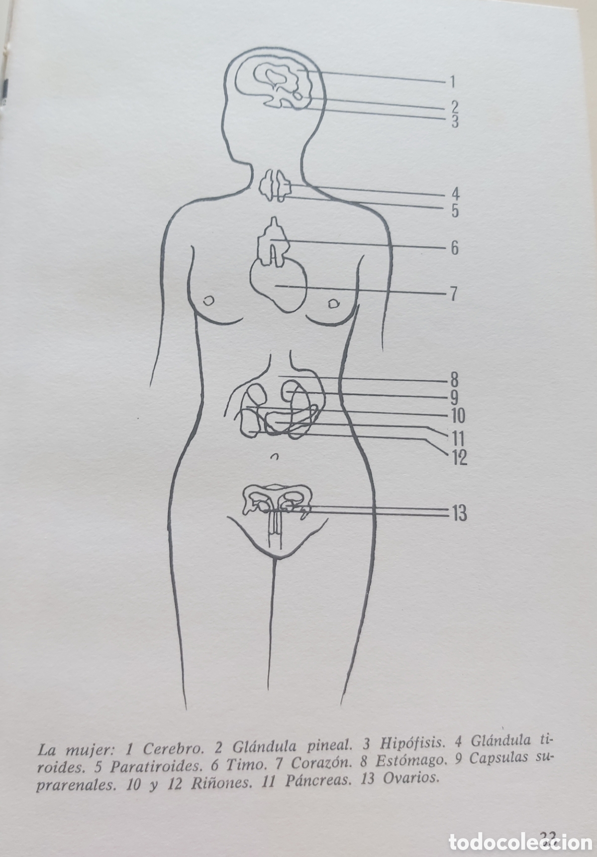 Libros: LA SEXUALIDAD EN EL AMOR. - Foto 10