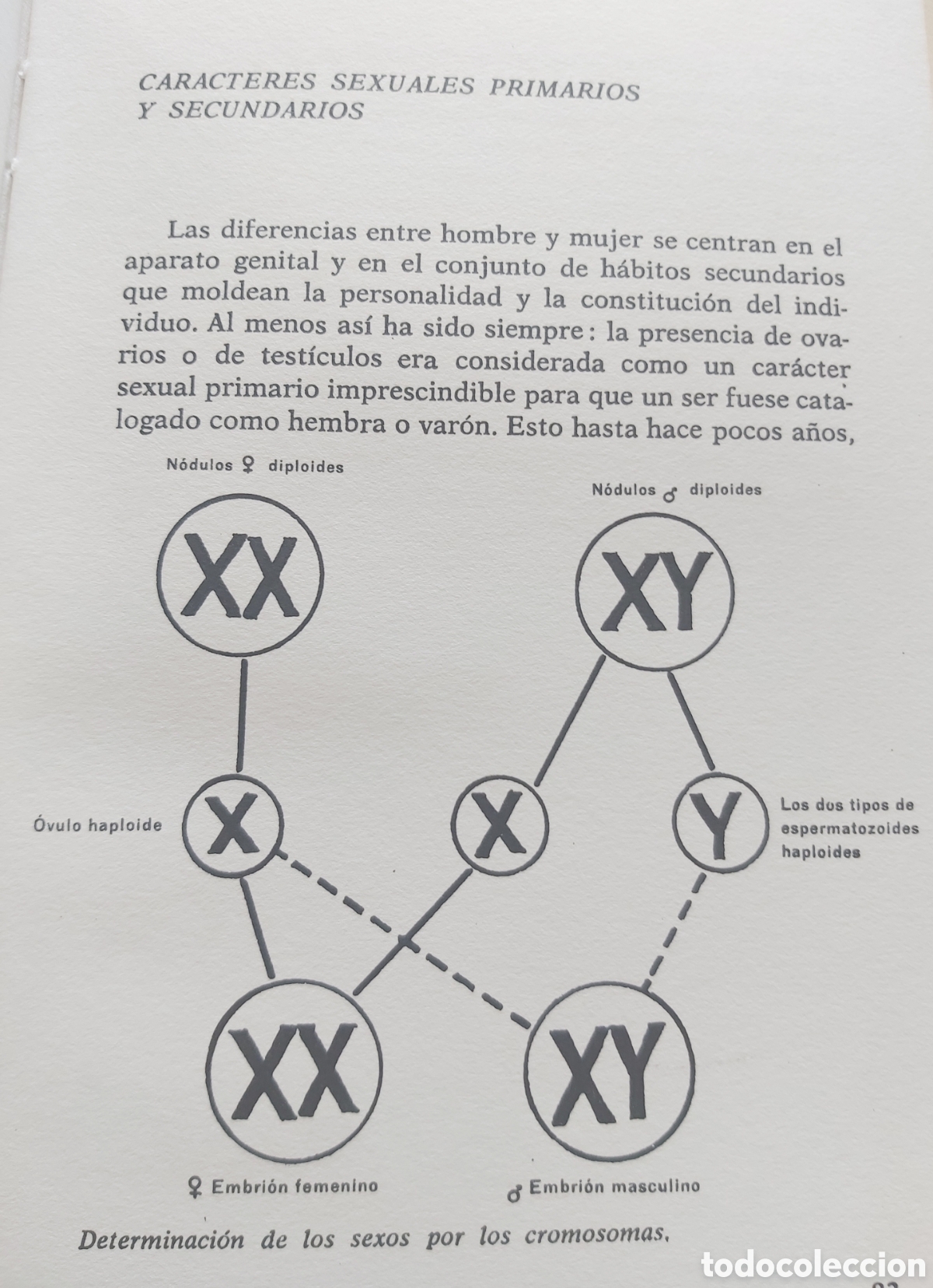 Libros: LA SEXUALIDAD EN EL AMOR. - Foto 12