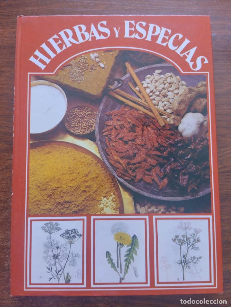 Libros: Hierbas y especias - Foto 1