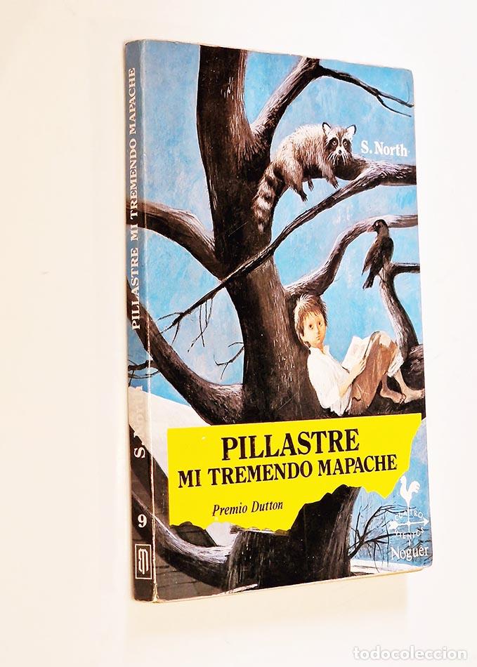 Libros: PILLASTRE MI PEQUE&Ntilde;O MAPACHE - STERLING NORTH - Foto 1