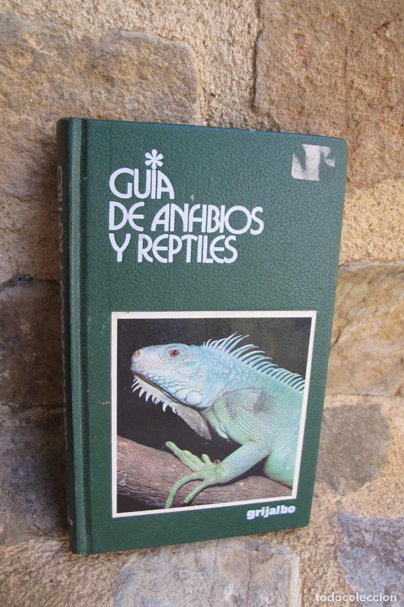 Libros: GUIA DE ANFIBIOS Y REPTILES. GRIJALBO - Foto 1