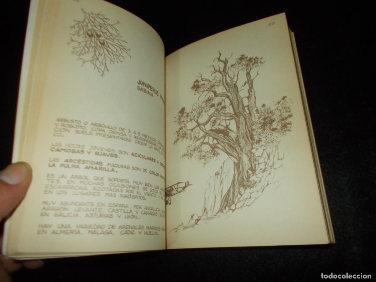 Libros: LOS ARBOLES. Penthalon n&ordm;4. 1985. Libro - Foto 2