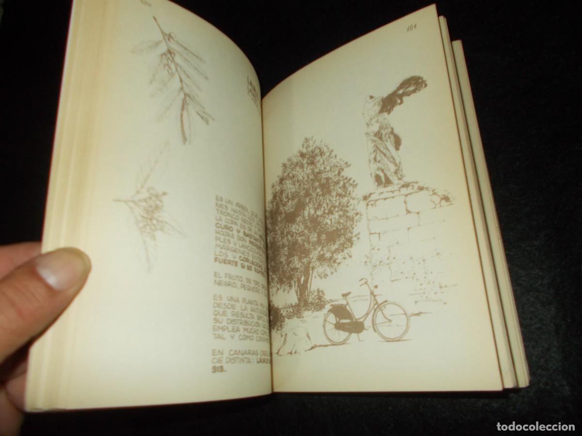 Libros: LOS ARBOLES. Penthalon n&ordm;4. 1985. Libro - Foto 3