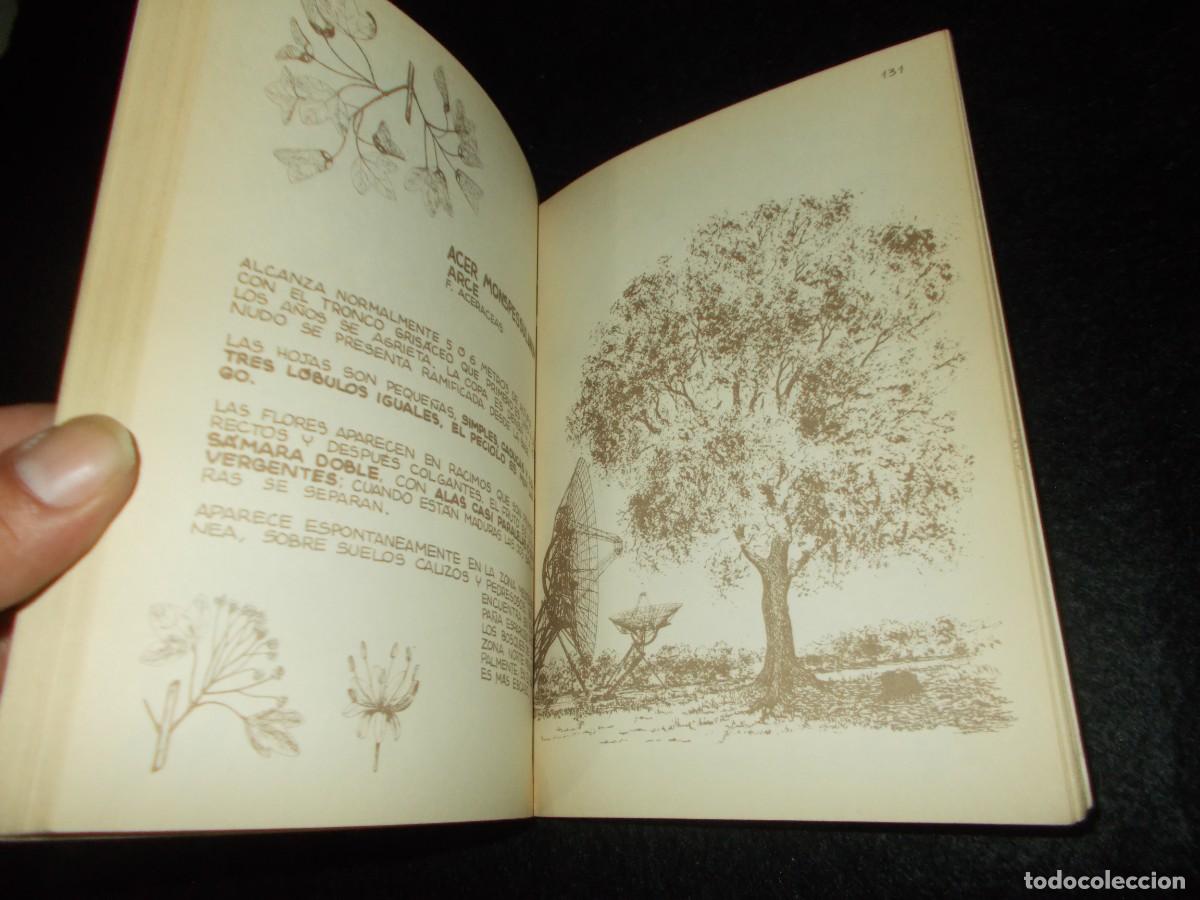 Libros: LOS ARBOLES. Penthalon n&ordm;4. 1985. Libro - Foto 4