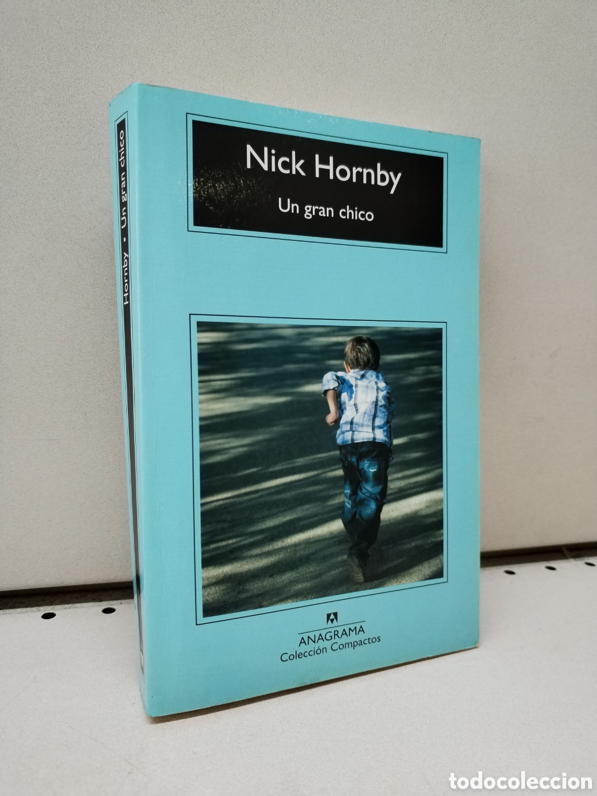 Libros: Un gran chico - Hornby, Nick - Foto 1