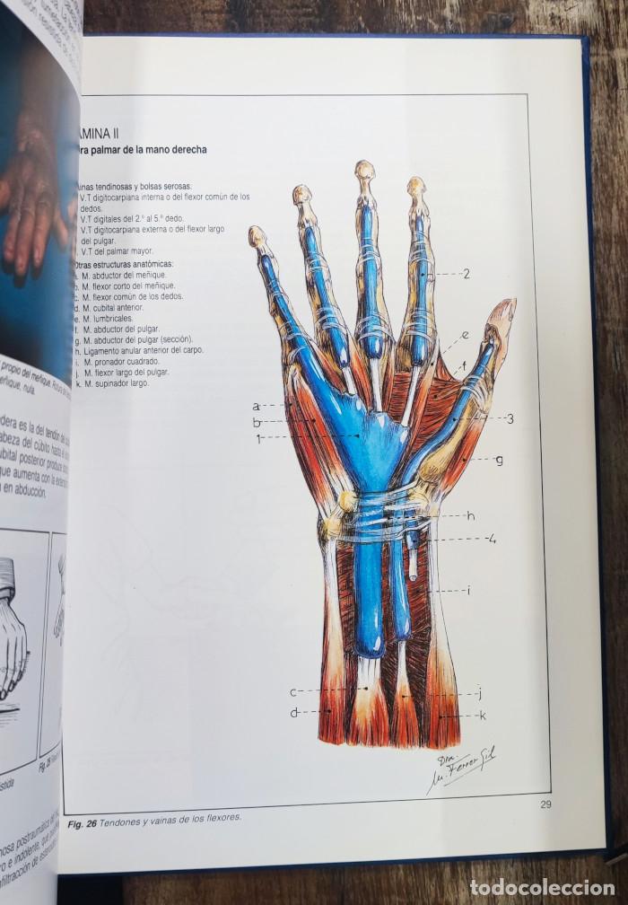 Libros: PERIARTRITIS - R. Moleres Ferrandis - Foto 2