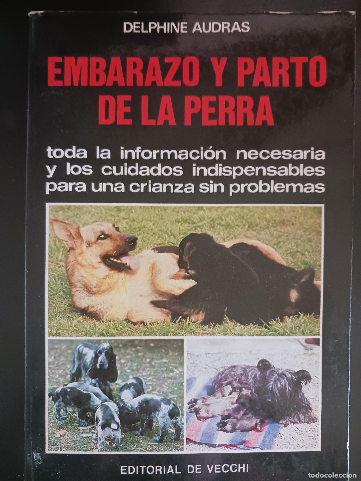 Libros: Embarazo y parto de la perra. Delphne Audras - Foto 1