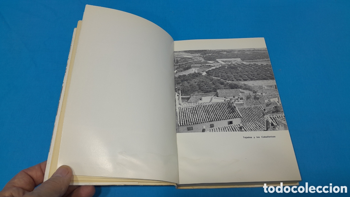 Libros: EL LIBRO DE CEHEG&Iacute;N - FRANCISCO ALEM&Aacute;N SAINZ - Foto 5