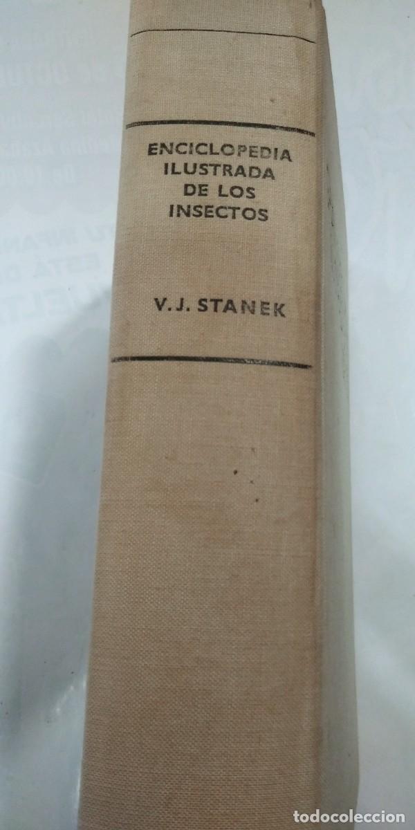 Libros: Gran enciclopedia ilustrada de los insectos V.J. Stanek - Foto 2