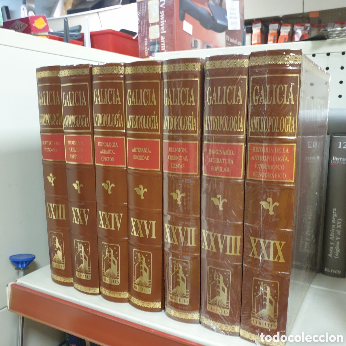 Libros: GALICIA ANTROPOLOGIA EDICIONES H&Eacute;RCULES - Foto 1