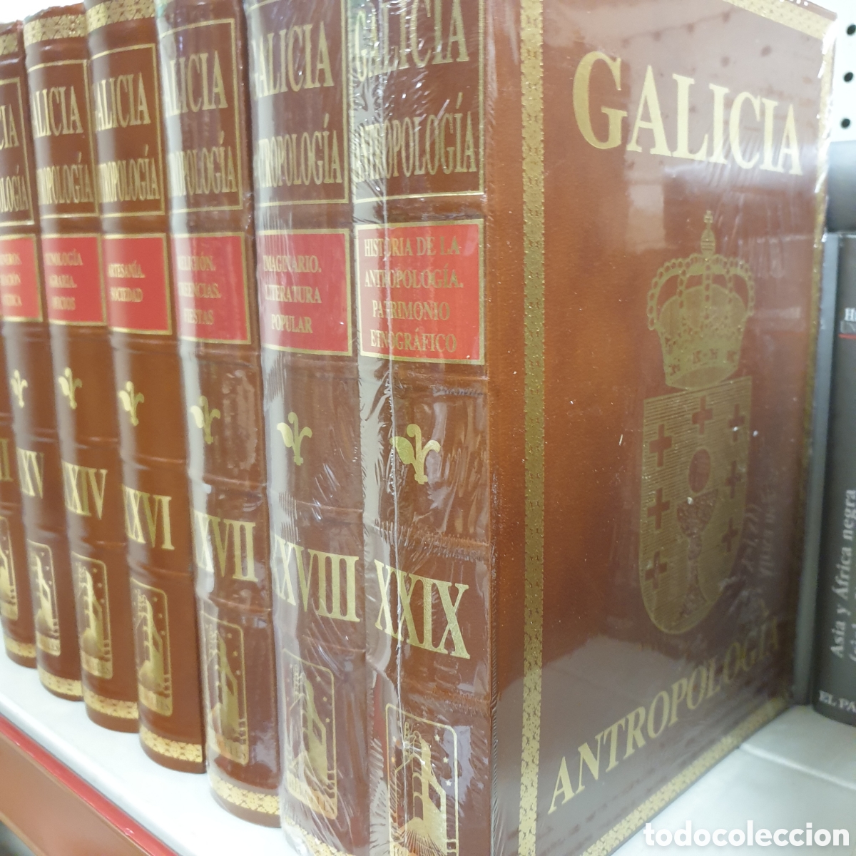 Libros: GALICIA ANTROPOLOGIA EDICIONES H&Eacute;RCULES - Foto 2