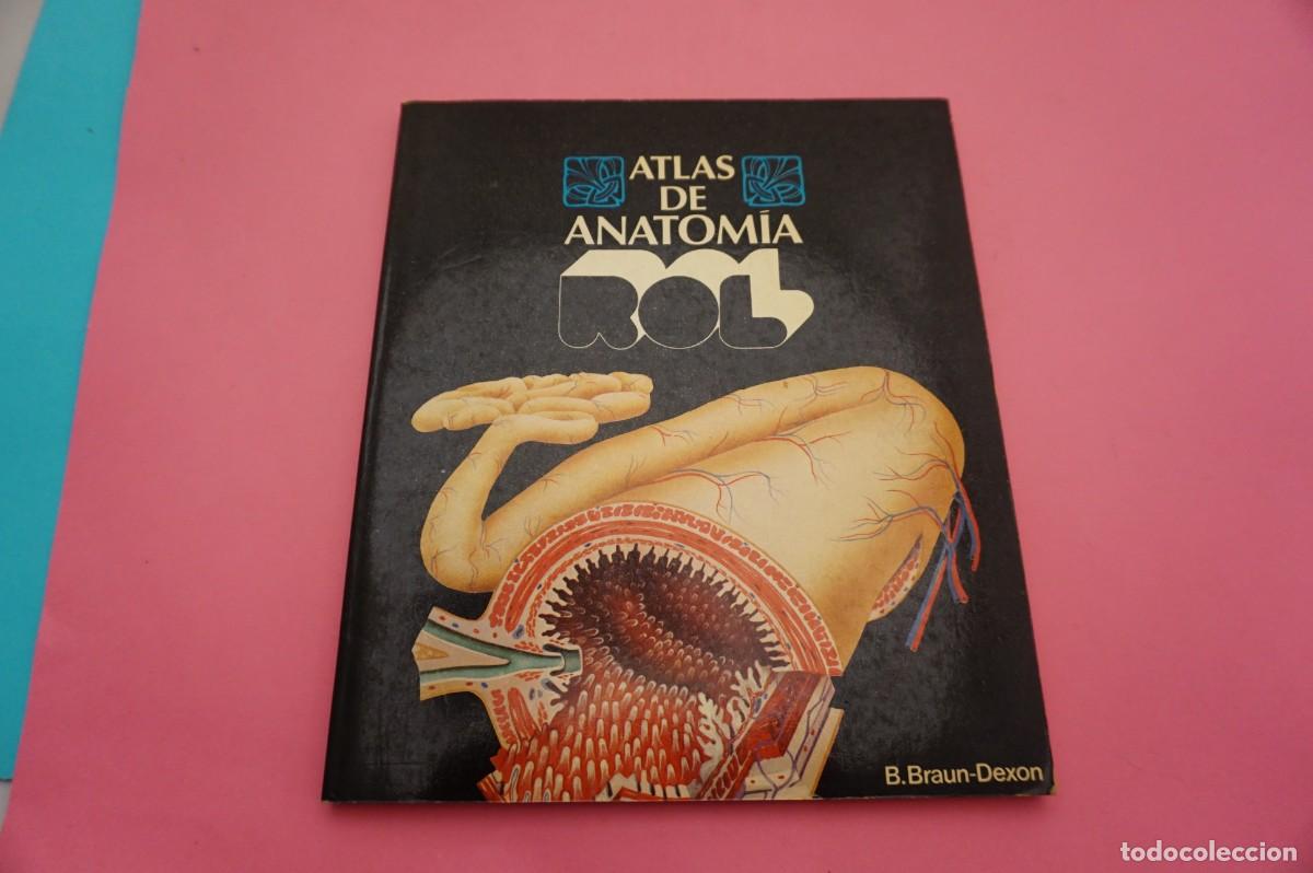 Libros: 9B/ ATLAS DE ANATOMIA - B. BRAUN-DEXON - Foto 1