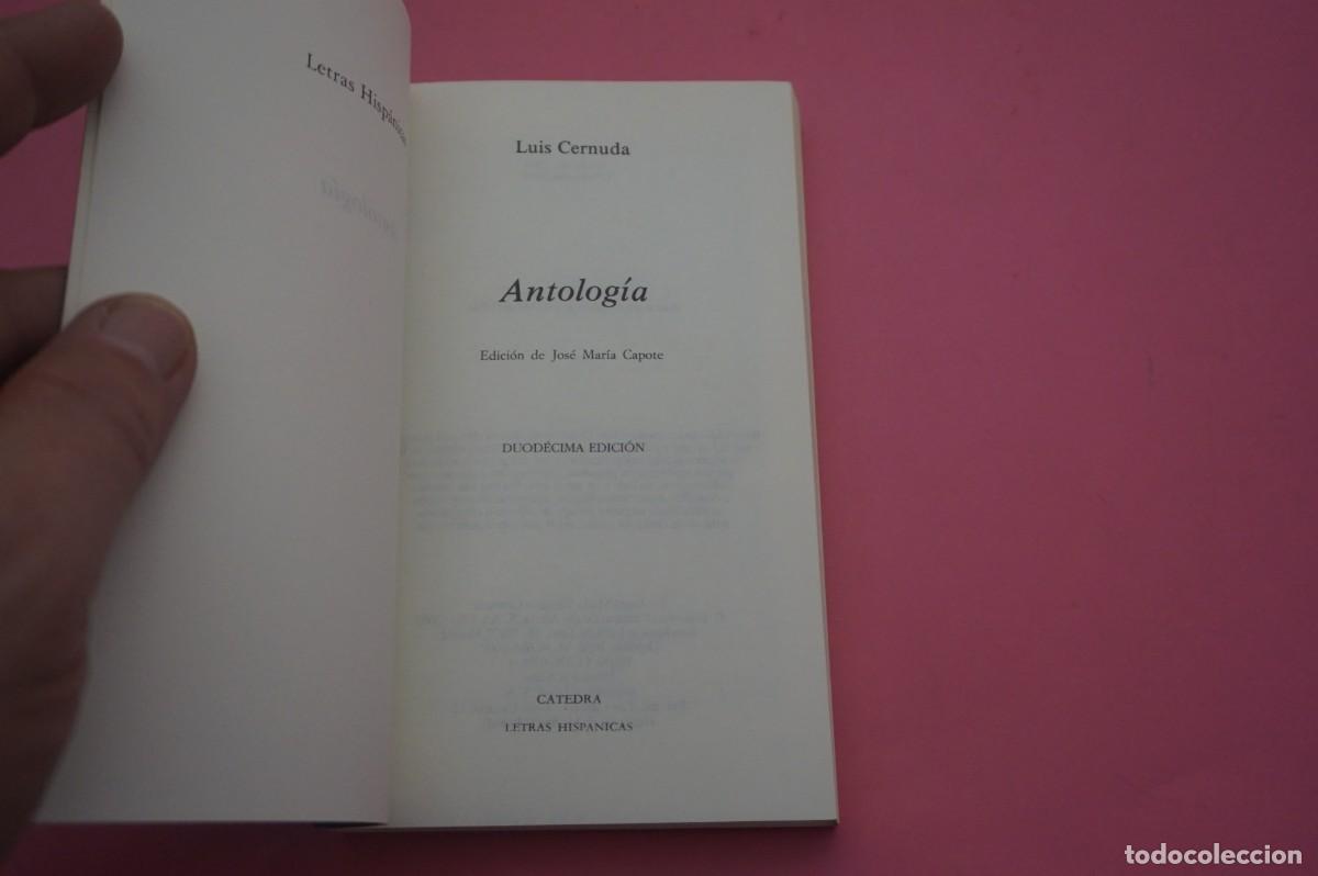 Libros: 2B/ ANTOLOGIA - LUIS CERNUDA / LETRAS HISPANICAS - Foto 2