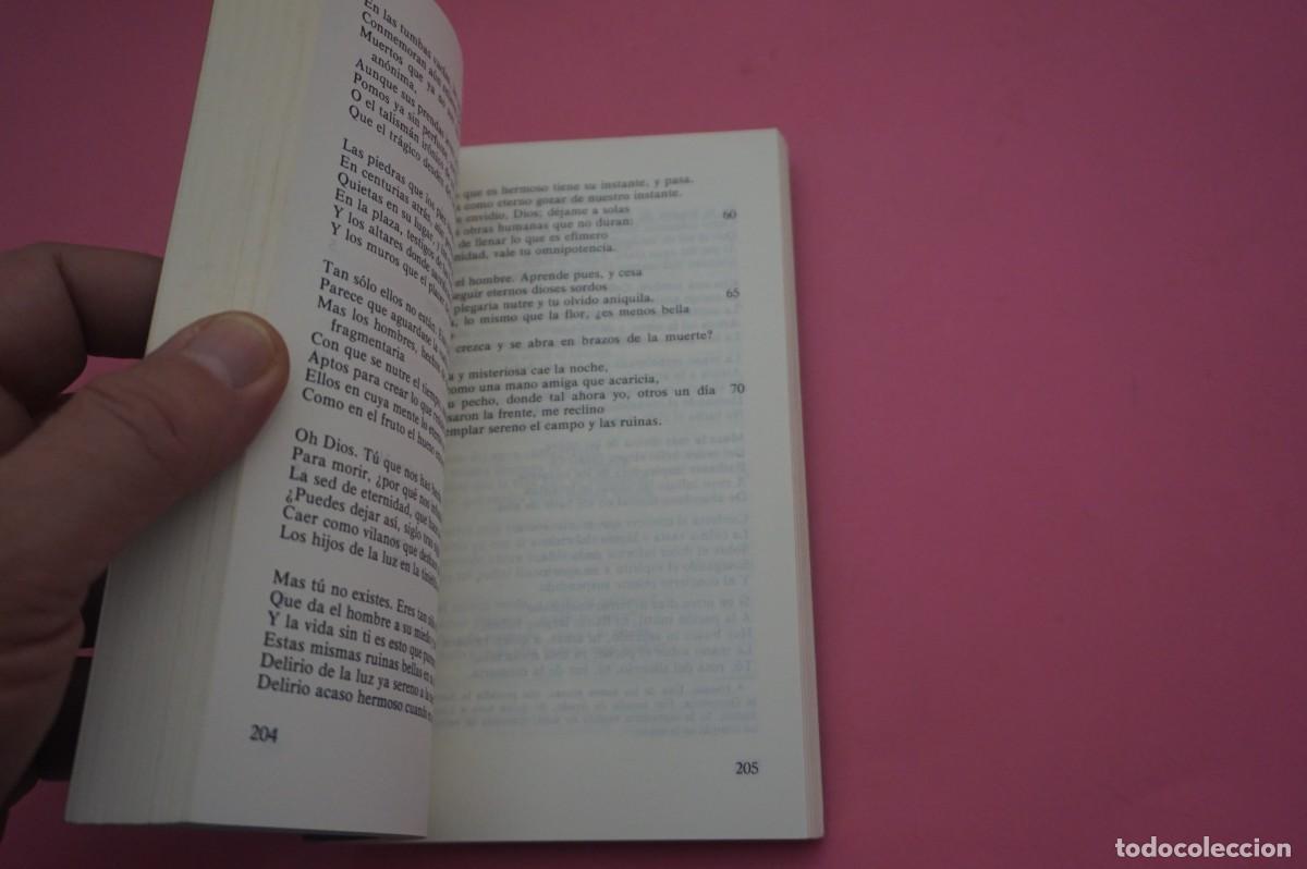 Libros: 2B/ ANTOLOGIA - LUIS CERNUDA / LETRAS HISPANICAS - Foto 3