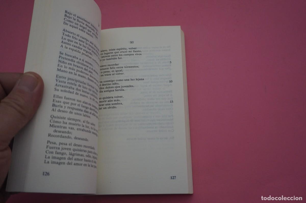 Libros: 2B/ ANTOLOGIA - LUIS CERNUDA / LETRAS HISPANICAS - Foto 4