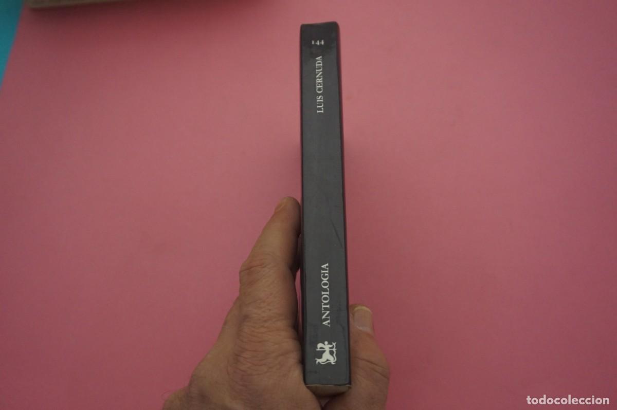 Libros: 2B/ ANTOLOGIA - LUIS CERNUDA / LETRAS HISPANICAS - Foto 6