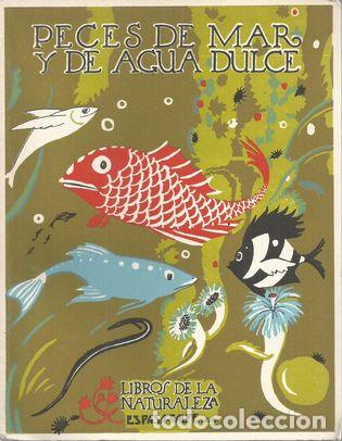 Libros: PECES DE MAR Y DE AGUA DULCE - CABRERA , &Aacute;NGEL - Foto 1