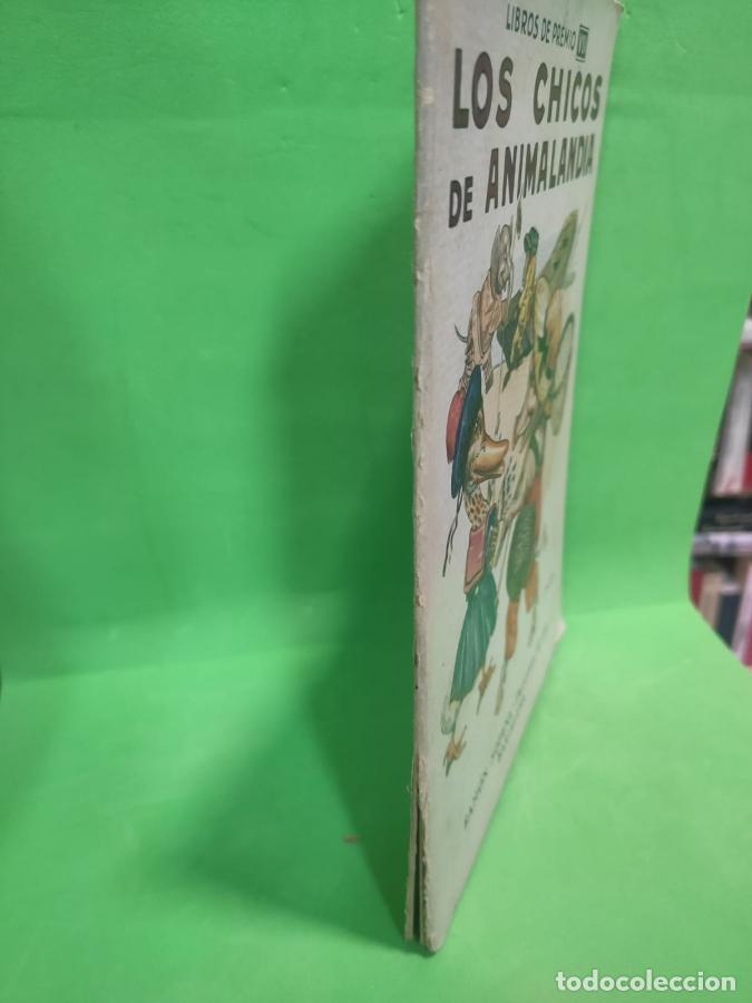 Libros: LOS CHICOS DE ANIMALANDIA. Libros de Premio VII - - Foto 2
