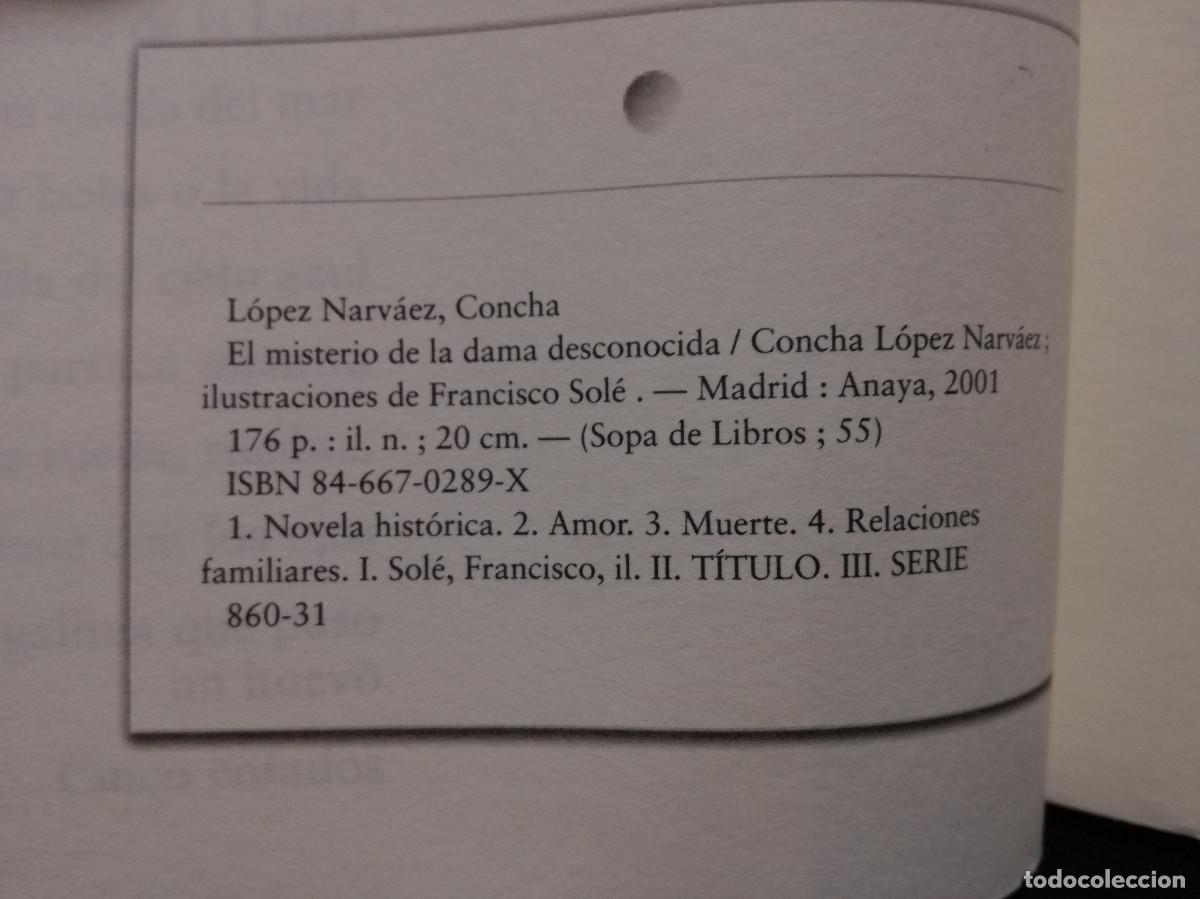 Libros: LIBRO - EL MISTERIO DE LA DAMA DASAPARECIDA - SOPA DE LIBROS - ANAYA - Foto 2