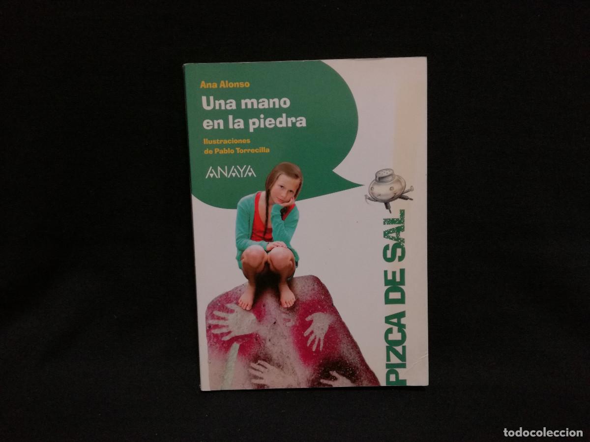 Libros: LIBRO - UNA PIEDRA EN LA MANO - ANA ALONSO - ANAYA - Foto 1