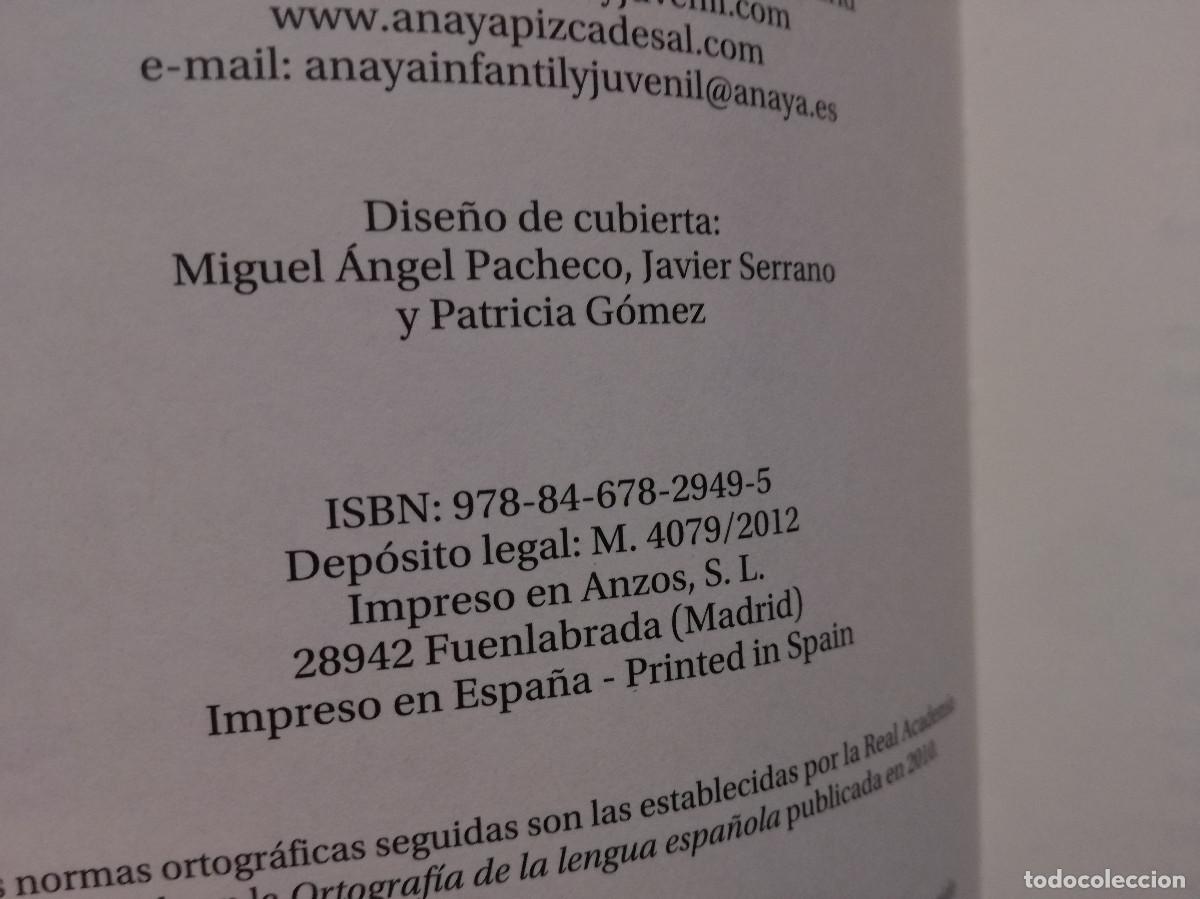 Libros: LIBRO - UNA PIEDRA EN LA MANO - ANA ALONSO - ANAYA - Foto 2