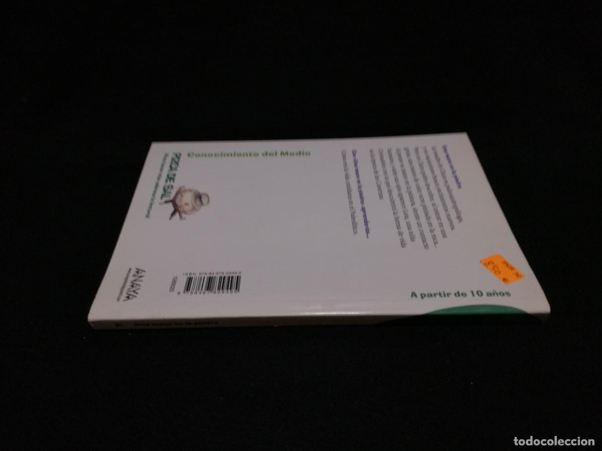 Libros: LIBRO - UNA PIEDRA EN LA MANO - ANA ALONSO - ANAYA - Foto 3