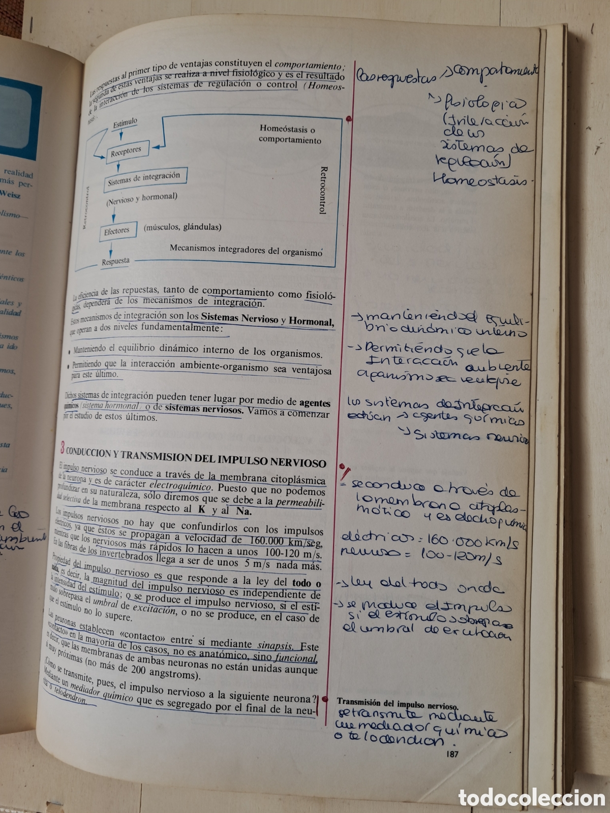 Libros: Biolog&iacute;a c.o.u plan 1975 bru&ntilde;o - Foto 3