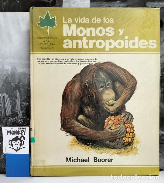 Libros: La vida de los monos y antropoides - Michael Boorer - Foto 1