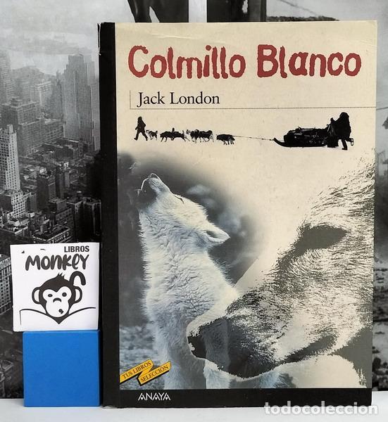 Libros: Colmillo blanco - Jack London - Foto 1