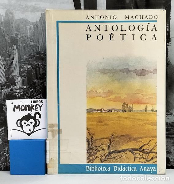 Libros: &Aacute;ntolog&iacute;a po&eacute;tica - Antonio Machado - Foto 1
