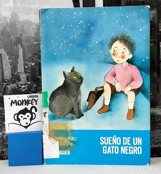 Libros: Sue&ntilde;o de un gato negro - Carmen P&eacute;rez Avello - Foto 1