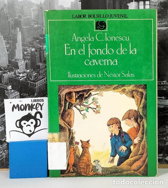 Libros: En el fondo de la caverna - Angela C. Ionescu - Foto 1