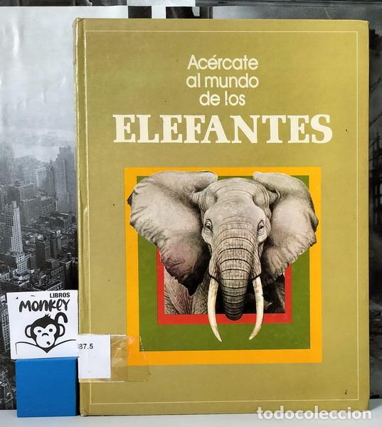 Libros: Ac&eacute;rcate al mundo de los elefantes - John Holbrook - Foto 1
