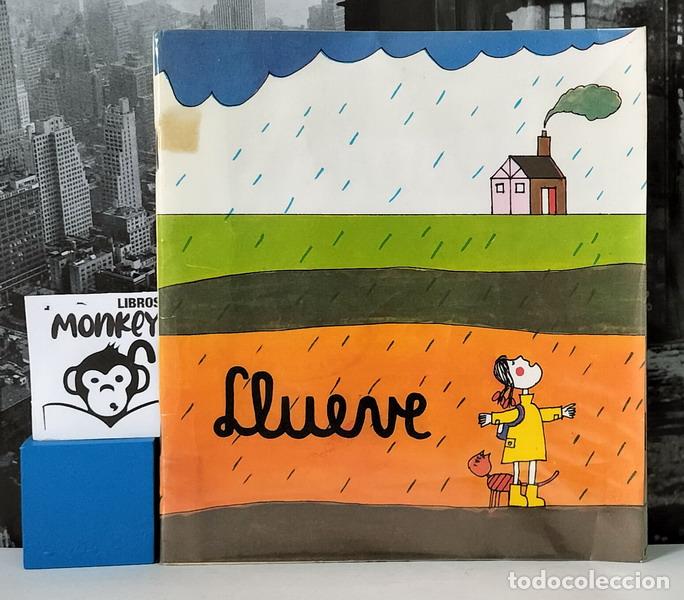 Libros: Llueve - Asunci&oacute;n Liss&oacute;n - Foto 1