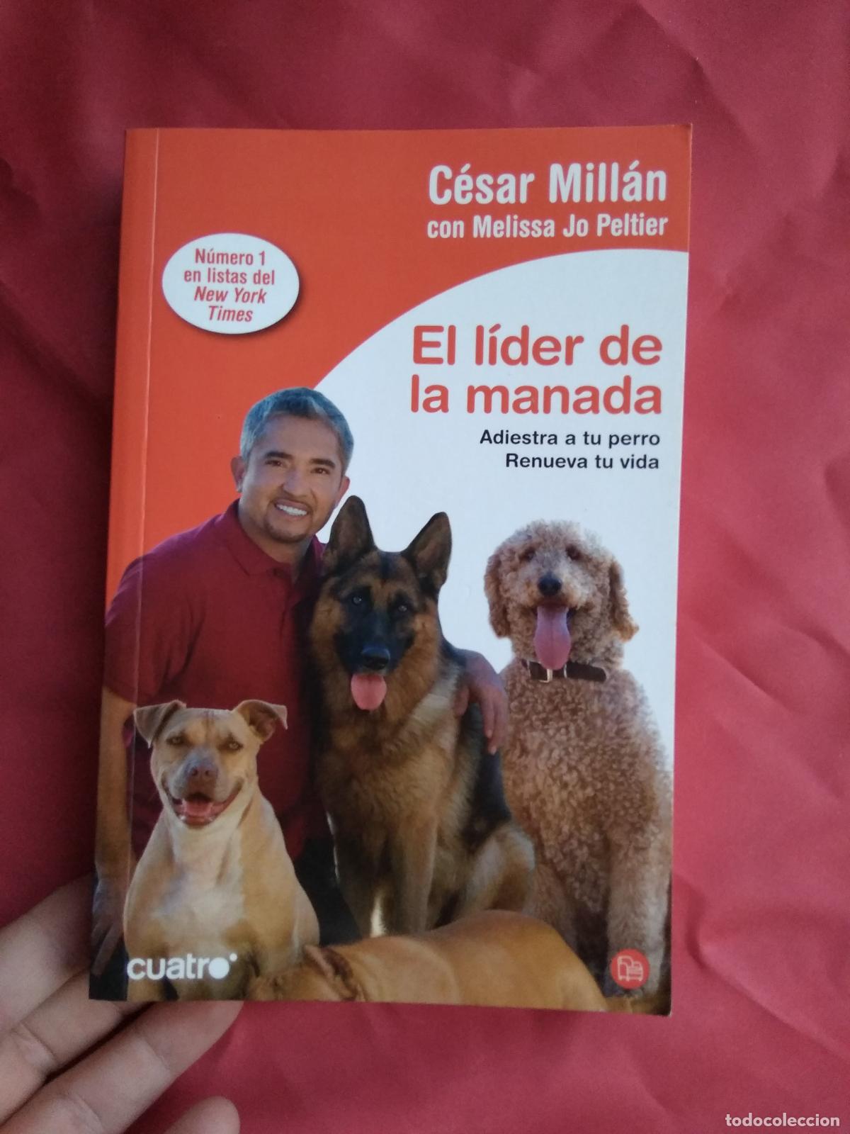 Libros: El l&iacute;der de la manada C&eacute;sar Mill&aacute;n L.6922-1443 - Foto 1