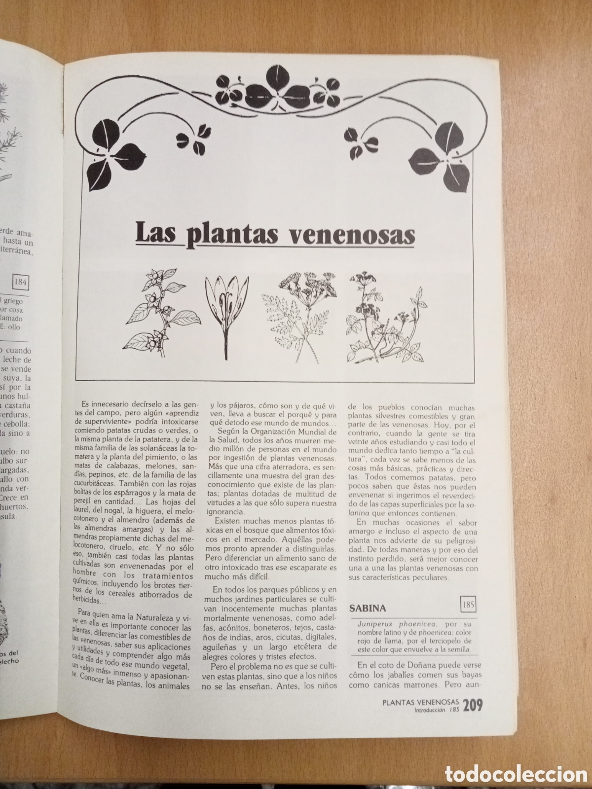 Libros: SUPERVIVENCIA (III) La cocina silvestre. - Foto 4