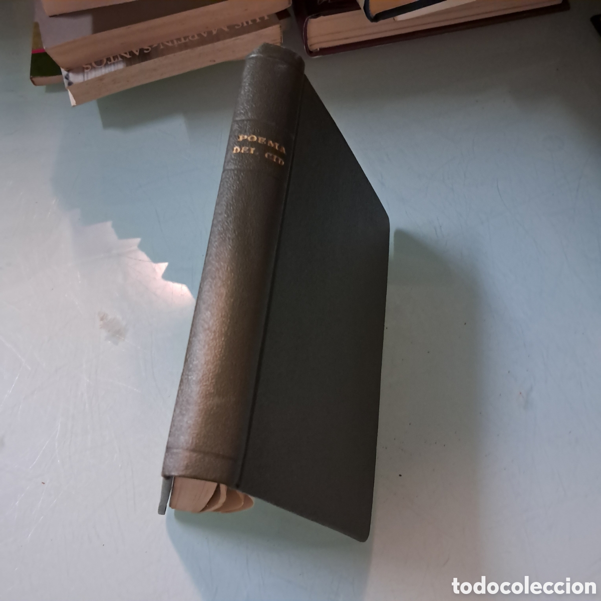 Libros: Poema del M&iacute;o Cid, Jos&eacute; Bergua - Foto 1