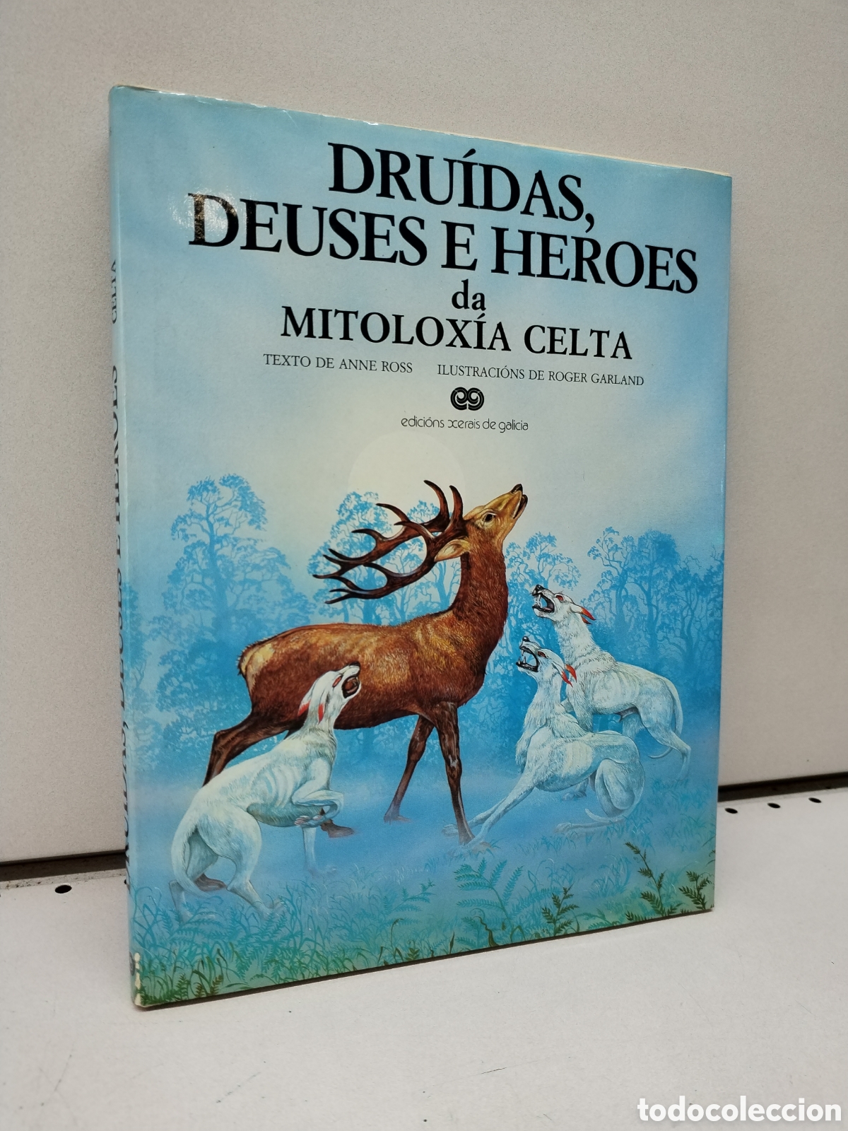 Libros: Dru&iacute;das, deuses e heroes da mitolox&iacute;a celta - Anne Ross - Foto 1