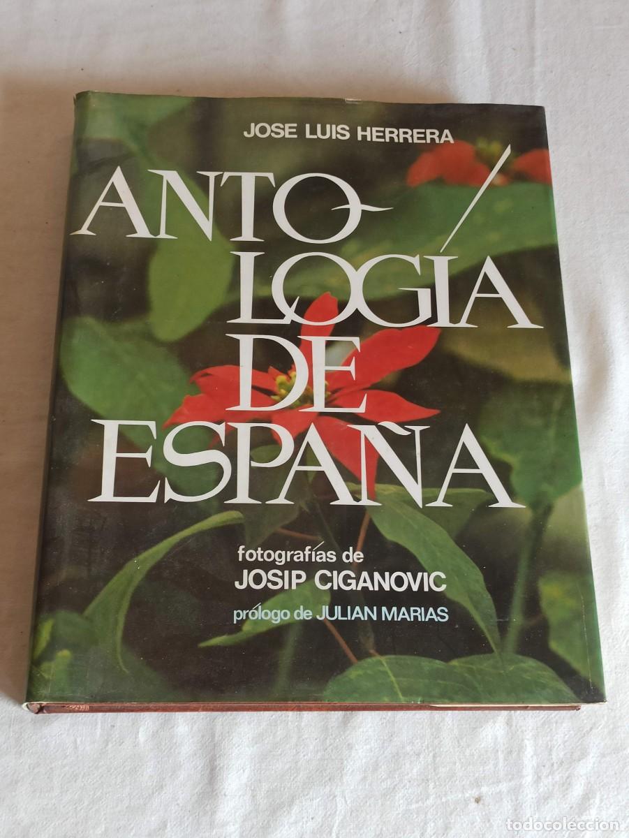 Libros: Antolog&iacute;a de Espa&ntilde;a Jose Luis Herrera - Foto 1