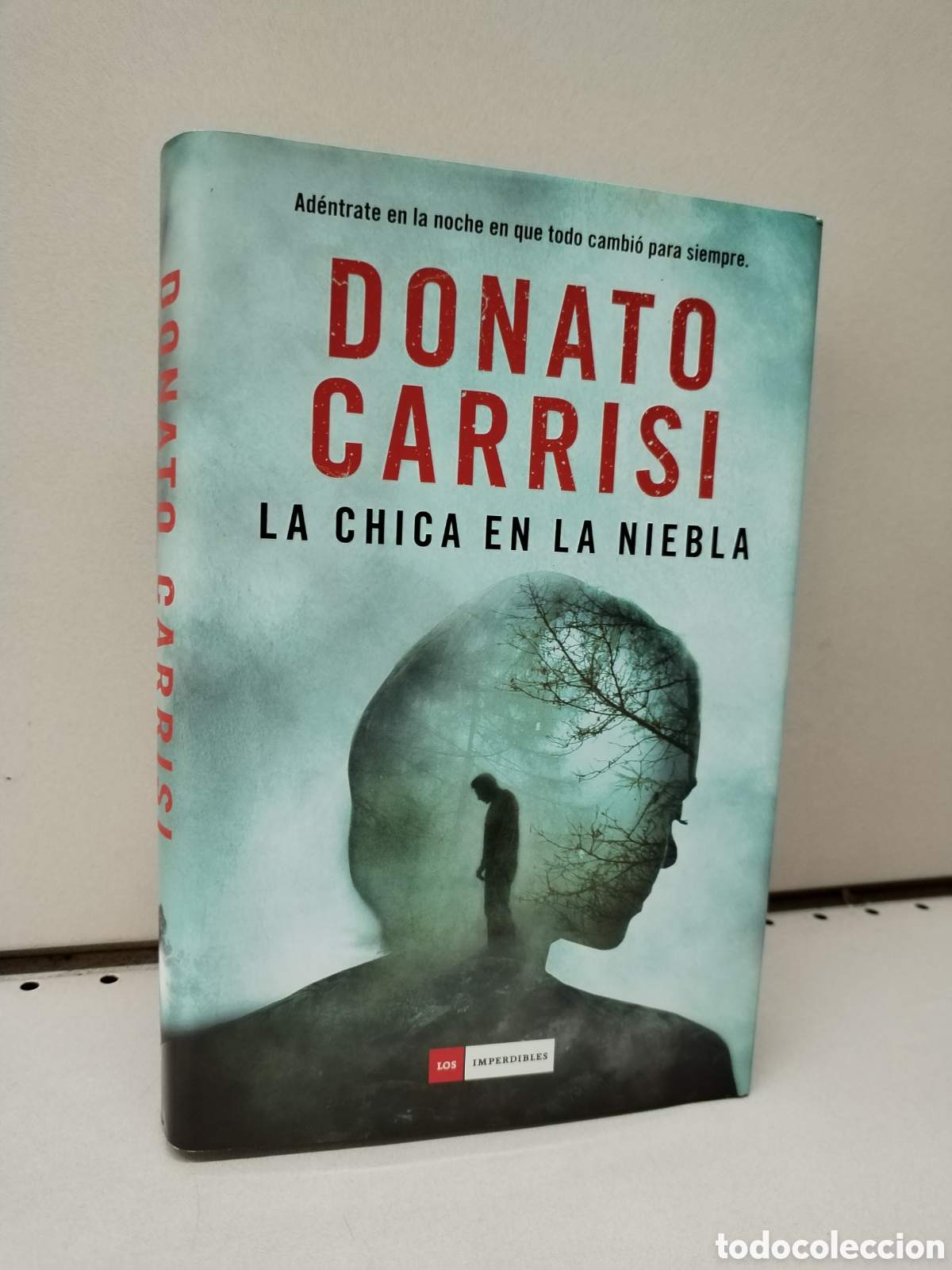 Libros: La chica en la niebla - Carrisi, Donato - Foto 1
