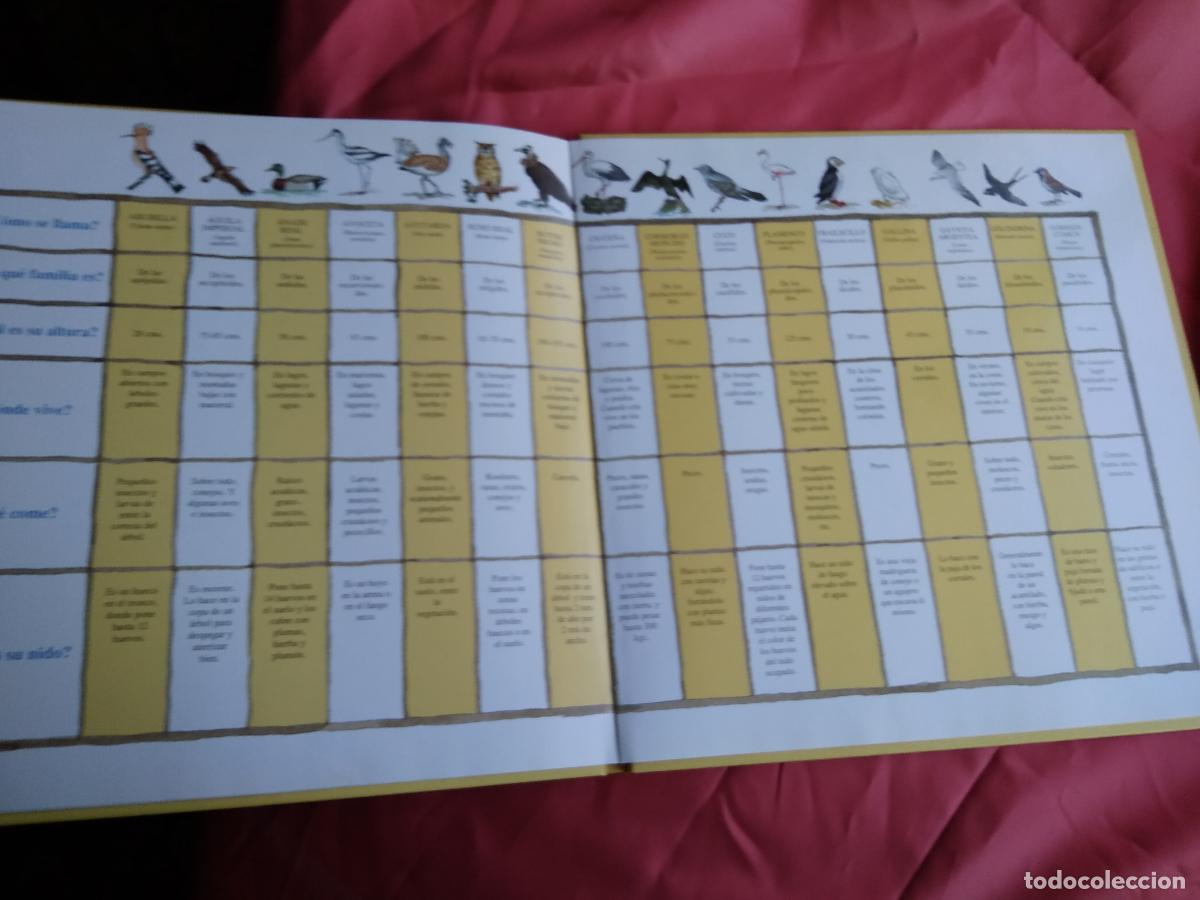 Libros: Aves de Espa&ntilde;a La pandilla de Curro Q.37 - Foto 2