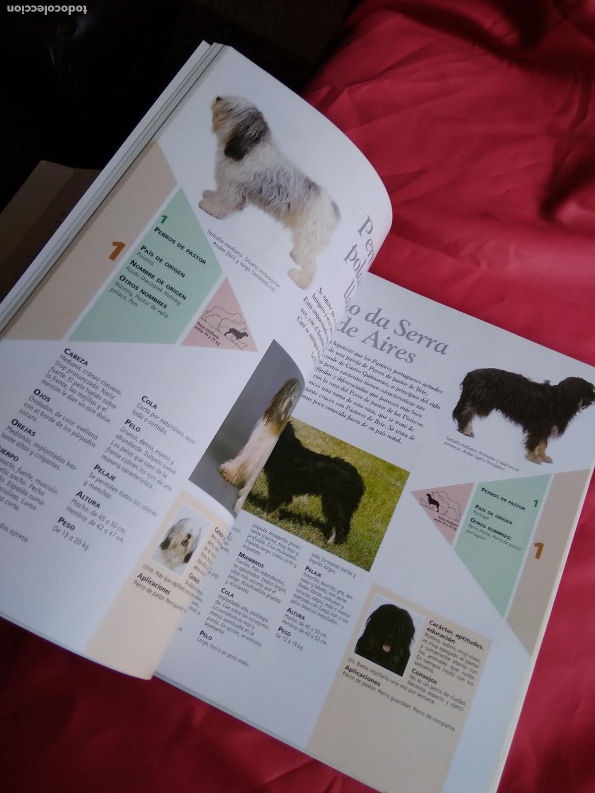 Libros: Enciclopedia del Perro Tomo I Q38 - Foto 2