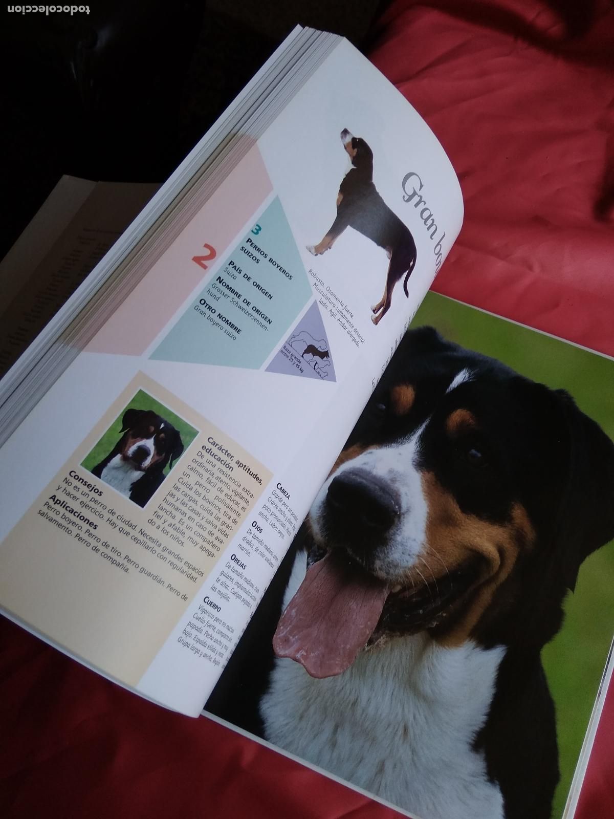 Libros: Enciclopedia del Perro Tomo I Q38 - Foto 4