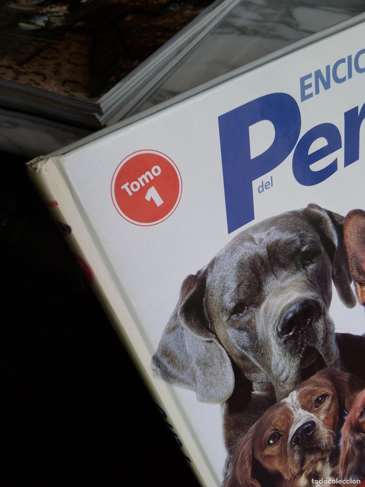 Libros: Enciclopedia del Perro Tomo I Q38 - Foto 7